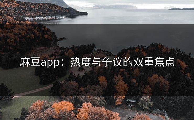 麻豆app：热度与争议的双重焦点