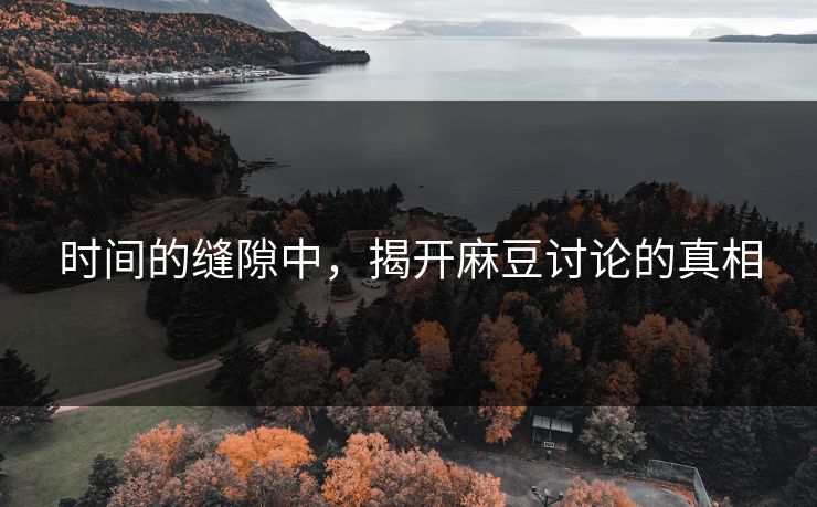 时间的缝隙中，揭开麻豆讨论的真相